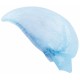 Capelina acordean ULA - ARDON