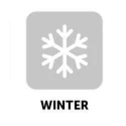 Vesta 4tech Albastru Iarna